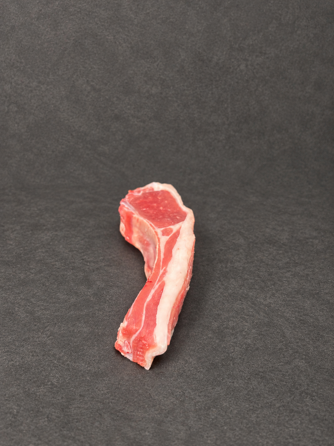 Lamb Chop on a smooth charcoal background